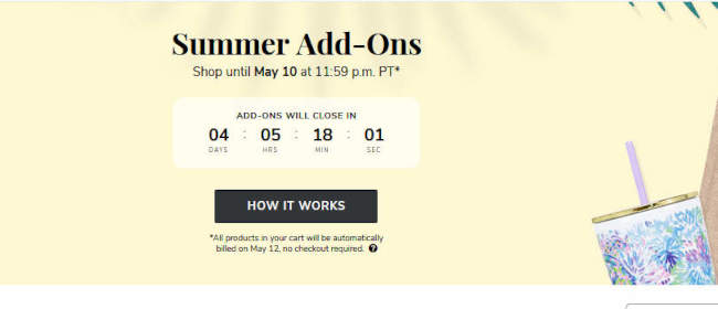 FabFitFun Summer 2021 Addons